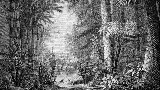 Ilustração de como seria uma floresta há 350 milhões de anos