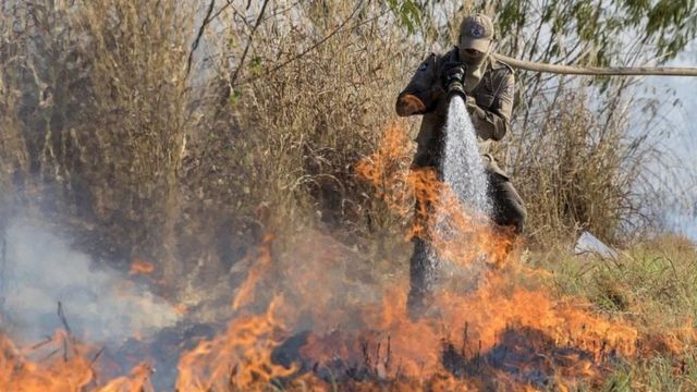 Bombeiro apaga incêndio no Pantanal