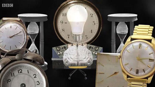 relojes y cerebro