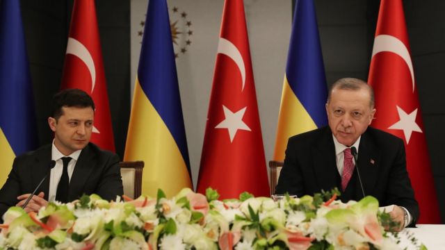 اردوغان می گوید ترکیه از اوکراین حمایت می کند