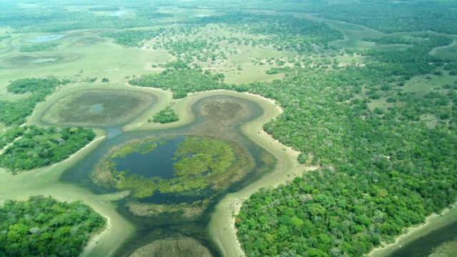 Vista aérea do Pantanal