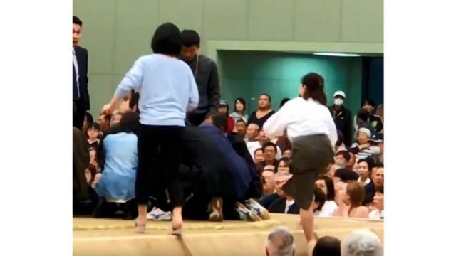 sumo