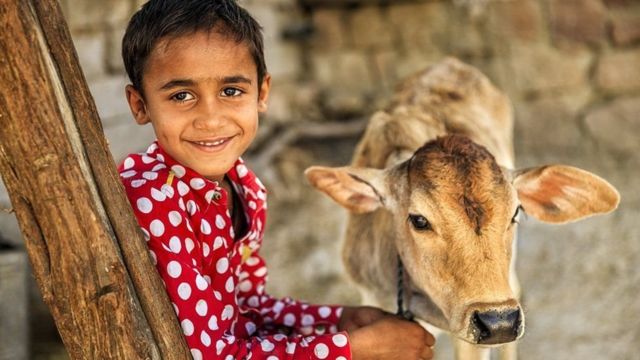 બિશ્નોઈ સમાજનો બાળક વાછરડા સાથે