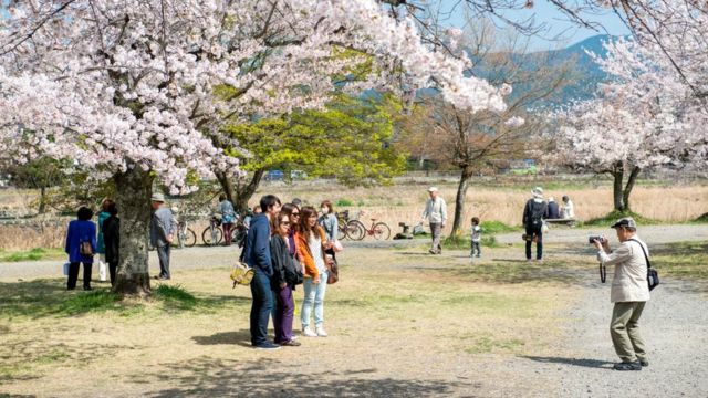Sự đánh giá cao vẻ đẹp thoáng qua là trung tâm của một số thú vui đơn giản nhất của Nhật Bản, chẳng hạn như lễ kỷ niệm hoa anh đào hàng năm.