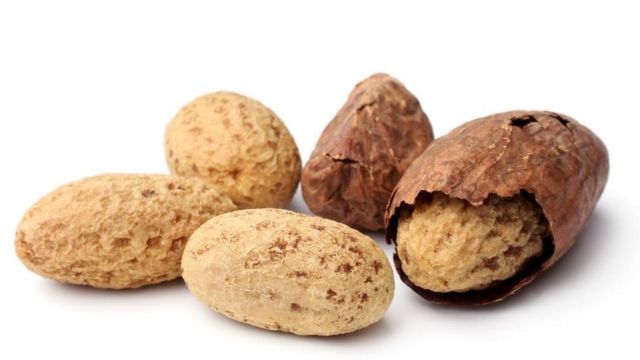 Kacang Kola