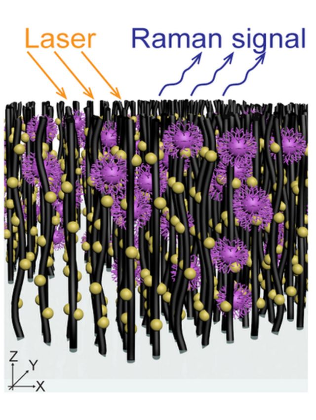Ilustração gráfica de 'floresta de nanotubos' a nível microscópico
