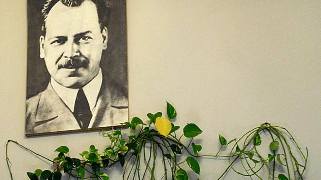 Retrato de Vavílov en el Jardín Botánico e Instituto de Investigación Panruso N.I. Vavílov