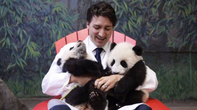 Trudeau com filhotes de panda
