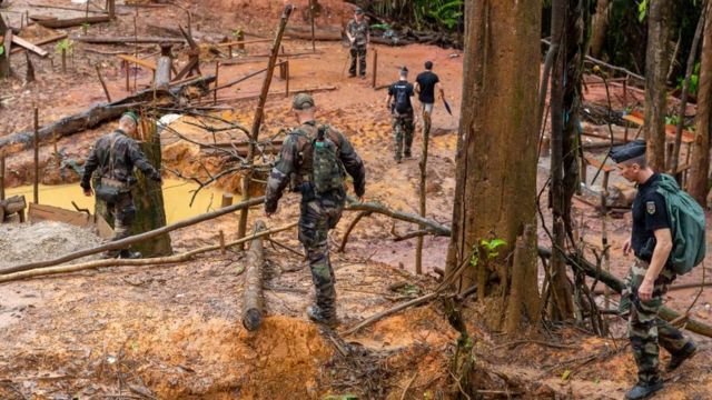 Membros do WWF chegam a um local de garimpo ilegal de ouro na Guiana Francesa.