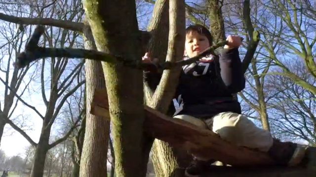 Niño jugando subido a un árbol