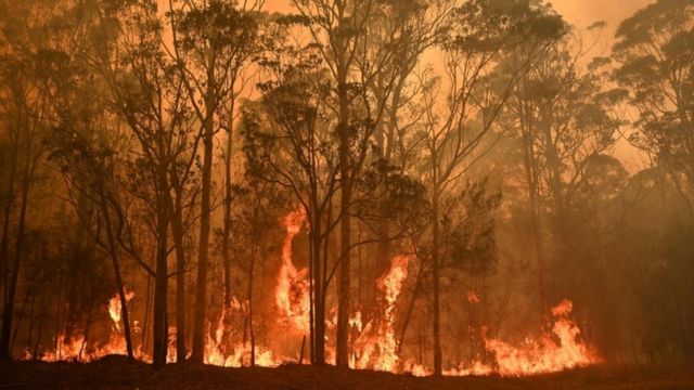 Incendio en el pueblo de Moyura, en Nueva Gales del Sur, Australia.