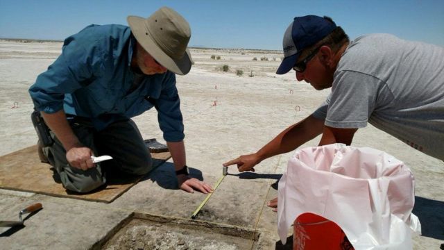 وجد علماء الآثار البذور في صحراء سولت لايك