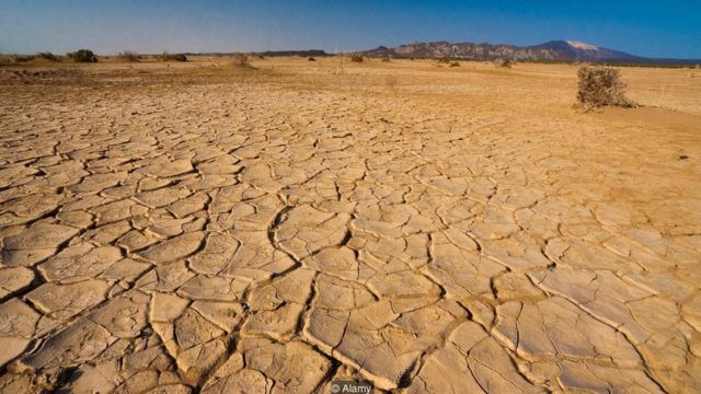 Danakil is full of deposits of mineral salts forced to the surface (Credit: Alamy)