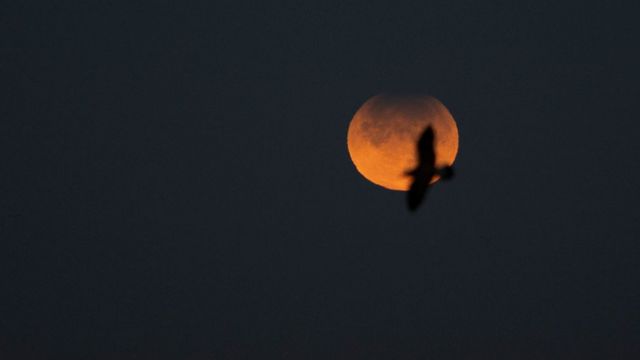 Eclipse parcial de Luna visto en La Coruña, Galicia, España, el 19 de noviembre de 2021.