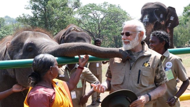 பொம்மன், பெள்ளி