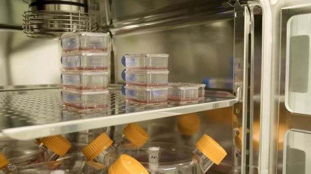 ஆய்வகத்தில் தயாரிக்கப்படும் ரத்தம்