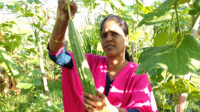 இயற்கை விவசாயத்தில் சாதிக்கும் பட்டதாரி பெண்