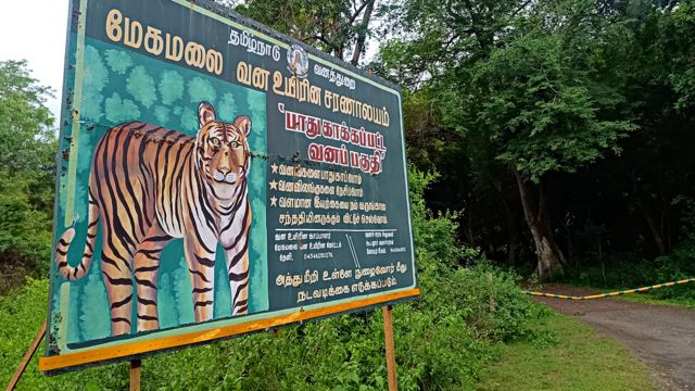 வனத்துறையினர் துப்பாக்கிச் சூடு