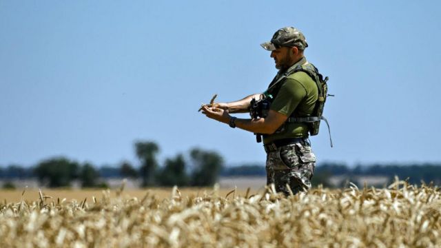 Buğday tarlasında asker