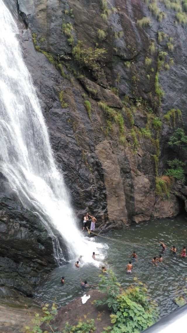 குற்றாலம், அருவி, காடுகள், சுற்றுலா, விடுமுறை, பயணம்
