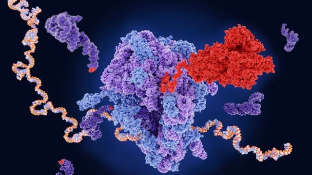 Ilustração molecular de como a vacina de mRNA funciona