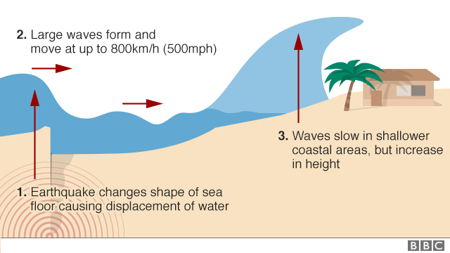 Graphic explains how tsunamis start fromchange in sea floor leading to displacement of water