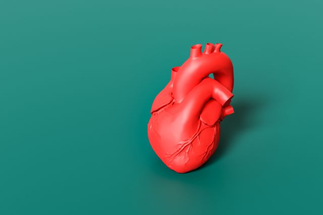 Ilustração de um coração