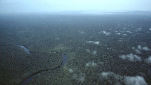 Floresta amazônica vista de cima