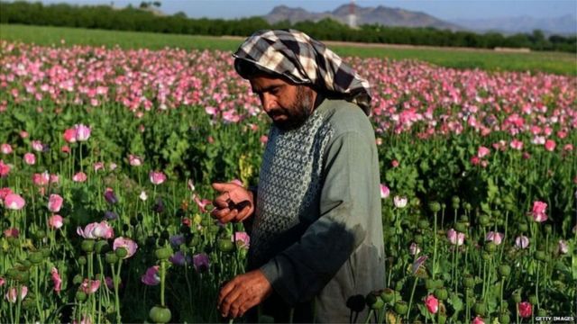 अफगाणिस्तान, तालिबान, अमेरिका