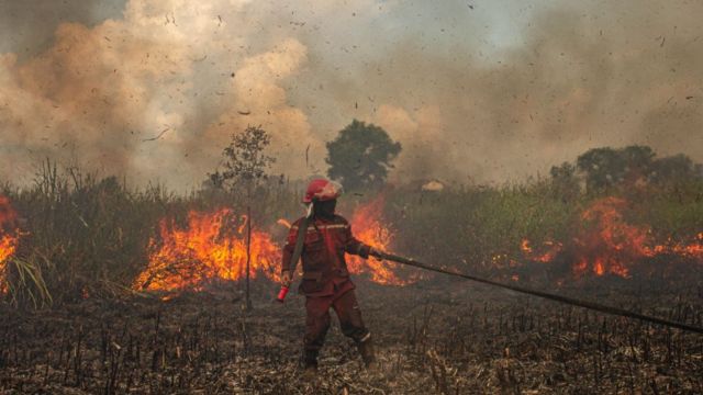 காட்டுத்தீ (கோப்புப் படம்)