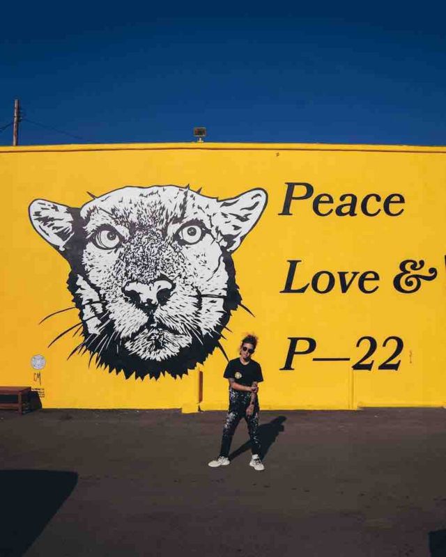 Mural of BY-22