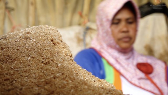 Mycotech Menggunakan Jamur Menjadi Bahan Bangunan Bbc News Indonesia