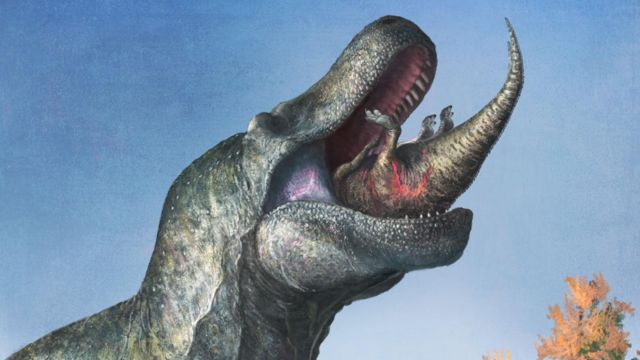 Tiranossauro Rex Rex Rex Dos Terópodes Mais Grandes Dinossauro