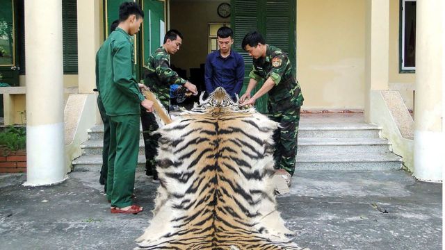 Việt Nam, Malaysia