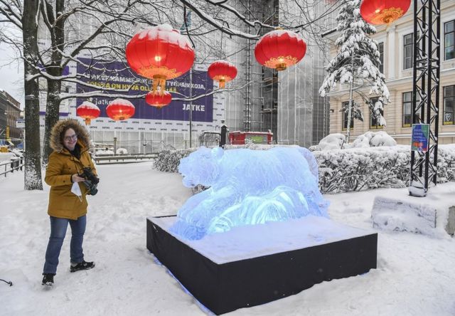 在芬兰赫尔辛基，该城展示冰雕庆祝到来的中国农历新年。图为一名妇女站在“虎年”的老虎冰雕旁边。