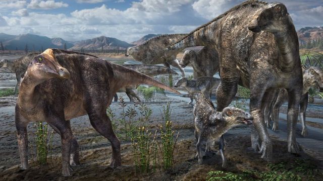 Ces dinosaures qui vivaient aux pôles Nord et Sud - Québec Science