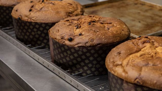 Varios panetones en una rejilla de horno, listos para ser comidos.