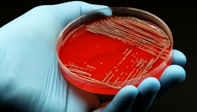 ஆன்டிபயாடிக் மருந்துகள்