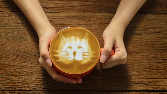Кошкин кофе