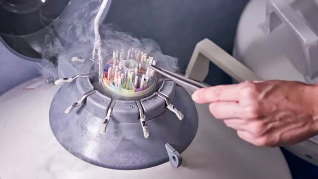 Câmara usada para manter sêmen congelado