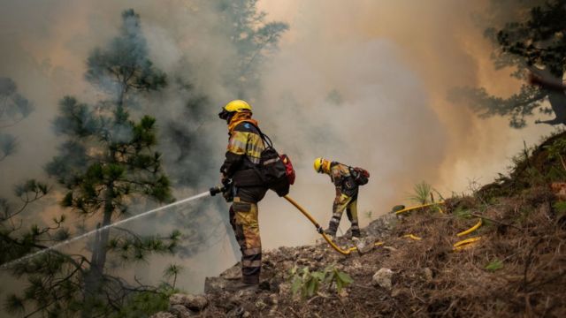 Tim pemadam kebakaran berusaha memadamkan api yang melalap hutan di La Palma, Kepulauan Canary, Spanyol, 16 Juli 2023.