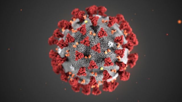 An illustration showing the structure of the novel coronavirus released by the US national public health institute