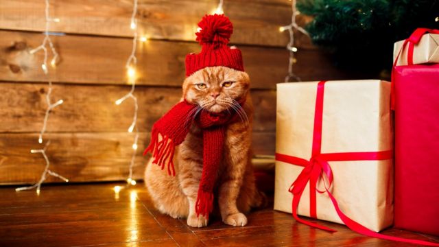 Рождественский кот с подарками