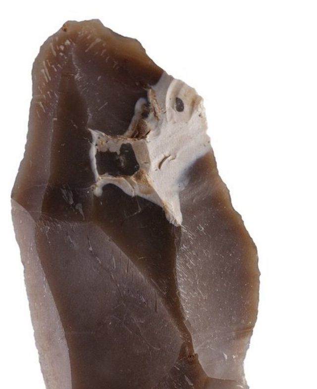 ඊශ්රායලයේ පුරාතන මානවයා