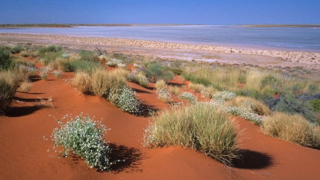 호주의 그레이트 샌디 사막은 스피니펙스 초원, 소금 호수, 끝없이 펼쳐진 붉은 모래 평원으로 이뤄져 있다