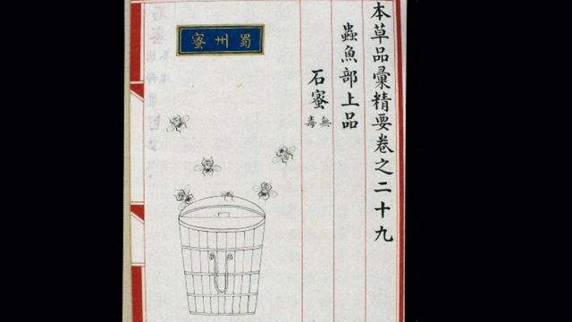 Ilustración en libro de medicina chino de 1505.