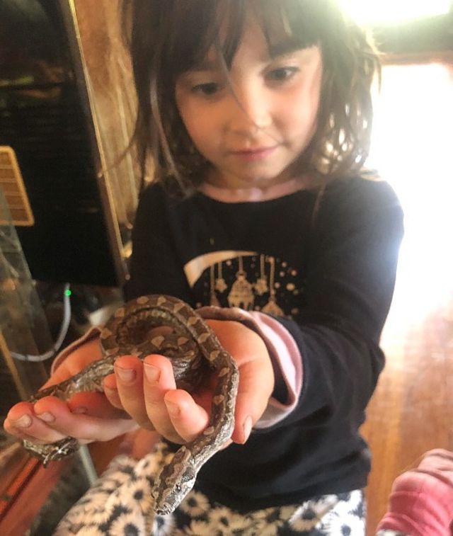 Damiana, la hija de Andrés, con pequeñas serpientes en sus manos
