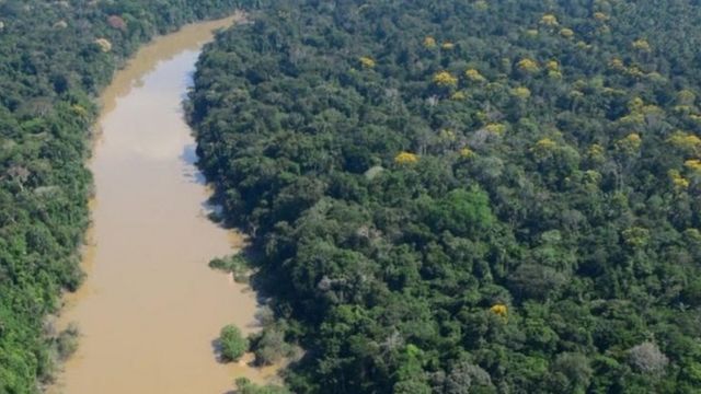 அமேசான் காடுகள்