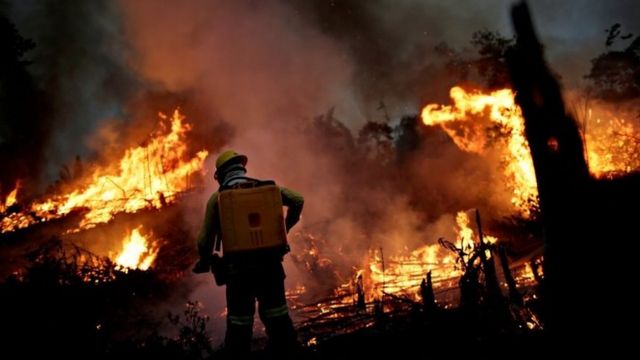 Funcionário do Ibama tenta apagar chamas na Amazônia