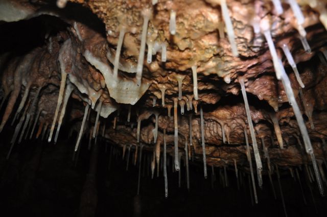 Cerjanska pećina